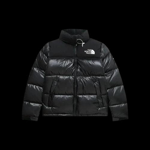 "TNF JACKET"